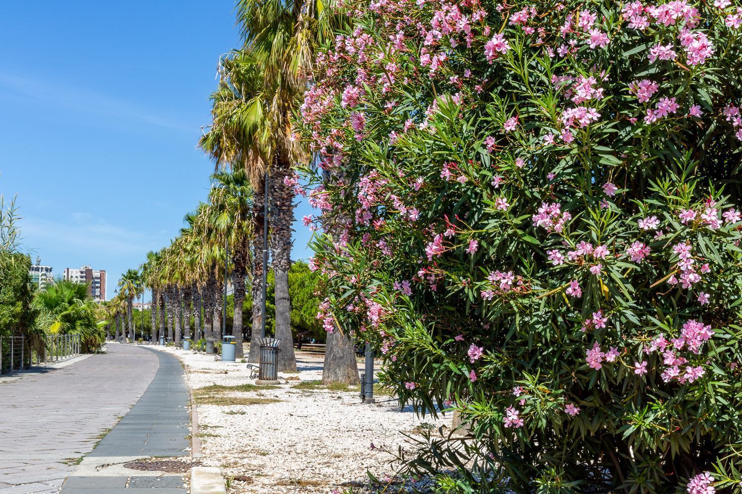 Sunichele Luxury Apartment Cagliari Zewnętrze zdjęcie